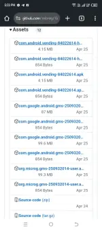 Screenshot_20250712-172313.webp