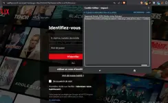 1752317248495.webp