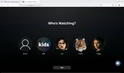 Screenshot 2025-07-14 125413.webp