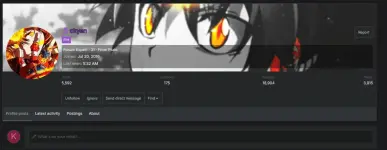pallow.webp