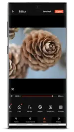 1752609278464.webp