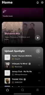 Screenshot_2025-07-16-13-24-06-162_com.aspiro.tidal-edit.webp