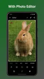 1752644474455.webp 1752644474455.webp