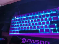 1000037178.webp 1000037178.webp