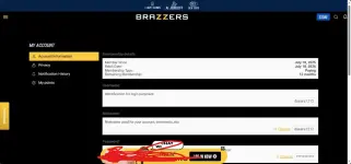 screenshot-1752771208345.webp