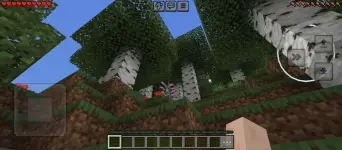 minecraft (2).webp minecraft (2).webp