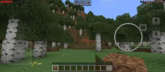 minecraft (3).webp minecraft (3).webp