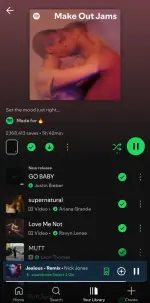 Screenshot_20250717_152415_Spotify.webp