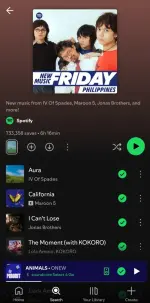Screenshot_20250718_182053_Spotify.webp