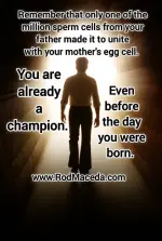 Rod Maceda life quotes Remember that only one of the million ***** cells from your father mad...webp