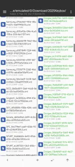 1000009662.webp 1000009662.webp