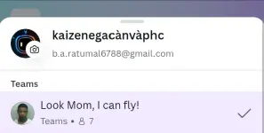 1753329262302.webp
