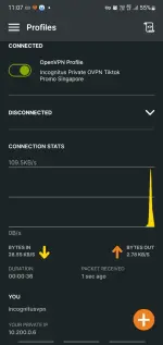 Screenshot_20250729_230739_OpenVPN Connect.webp Screenshot_20250729_230739_OpenVPN Connect.webp