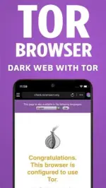 1753880956808.webp 1753880956808.webp