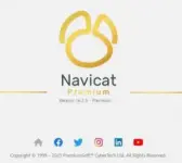 NavicatPremium-300x269.webp
