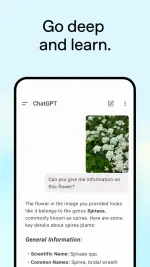 1754109496313.webp 1754109496313.webp