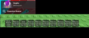 RobloxScreenShot20250803_144757067.webp