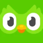 1754309191026.webp 1754309191026.webp