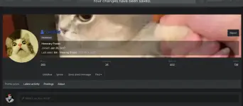 Screenshot 2025-08-04 083505.webp