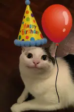1754487806340.webp