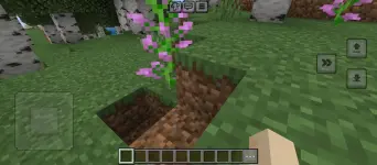 minecraft (6).webp minecraft (6).webp