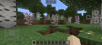 minecraft (8).webp minecraft (8).webp