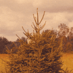 200.gif 200.gif