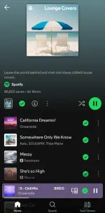 Screenshot_20250809_054548_Spotify.webp