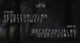 1754792886167.webp