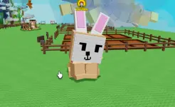 BUNNY.webp BUNNY.webp