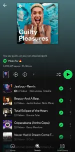 Screenshot_20250811_093342_Spotify.webp