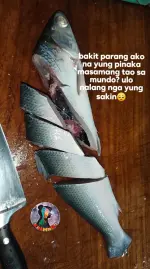 1000034178.webp 1000034178.webp
