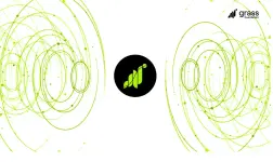 grass.webp