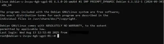 vps2.webp