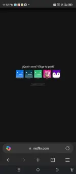 Screenshot_20250813-235239.webp