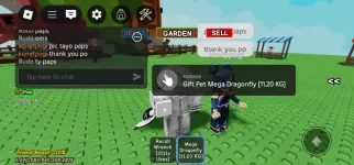 Screenshot_20250816_110702_Roblox.webp