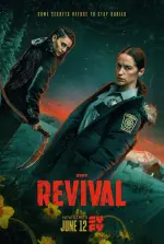 revvv.webp