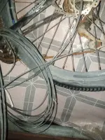 IMG_20250818_025233_846.webp