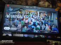 17554794391842463006992271683630.webp