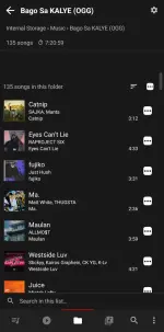 Screenshot_20250820_072808_Musicolet.webp