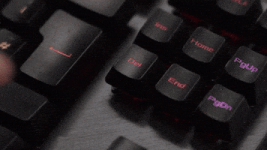 200.gif 200.gif