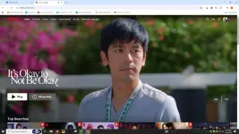 1755696008384.webp