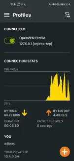 Screenshot_20250821_151416_net.openvpn.openvpn.webp