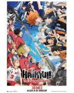gekijoban_haikyu_gomi_suteba_no_kessen_xlg.webp