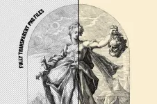 2.webp 2.webp