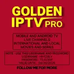 1000050041.webp 1000050041.webp