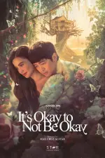 It's Okay to Not Be Okay (2025).webp