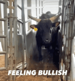 orLRPoG.gif orLRPoG.gif