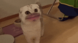 200.gif 200.gif