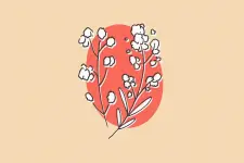 6.webp